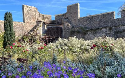 Gardener’s Corner: September 2026