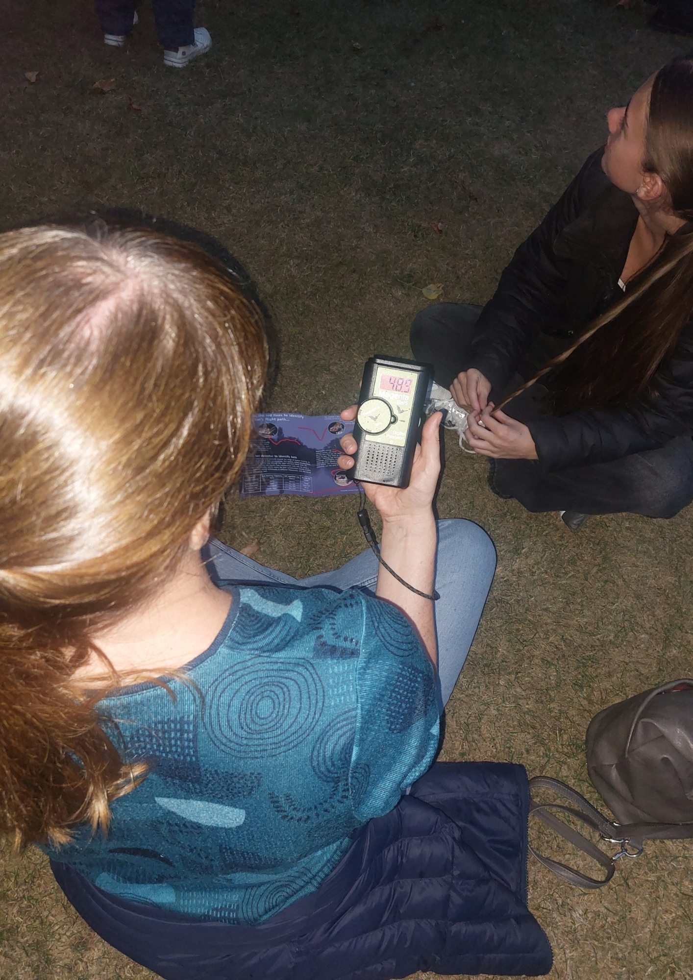An image of the August Bat Walk at The Bishop's Palace.