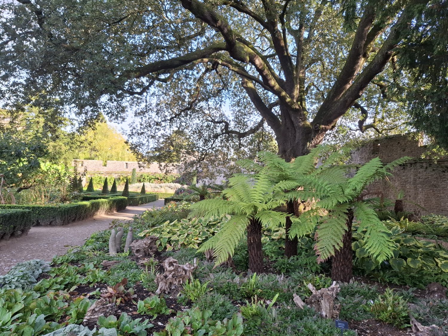 Gardener’s Corner: October 2026