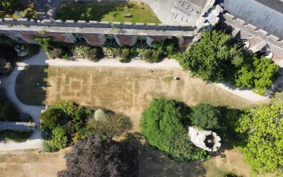 Centuries-old garden features have emerged beneath the lawns of The Bishop’s Palace and Gardens following the recent spell of hot, dry weather