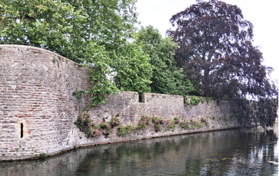 Conservation Works Information